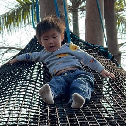 碣石摆摊（薯粉丸，鸽鸪春批发零售）