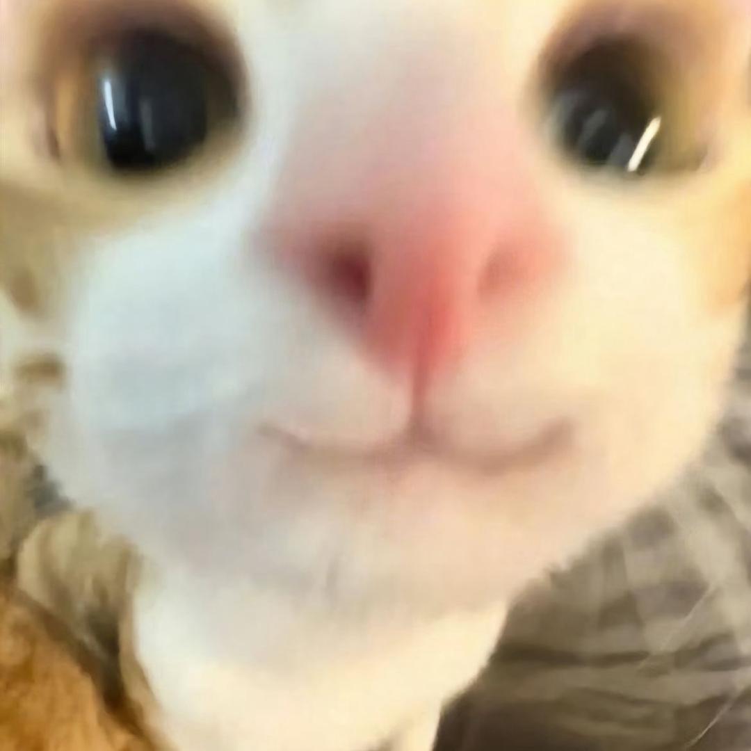 猛踹瘸子那条好腿