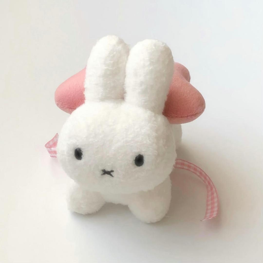 🐰,小兔子一只