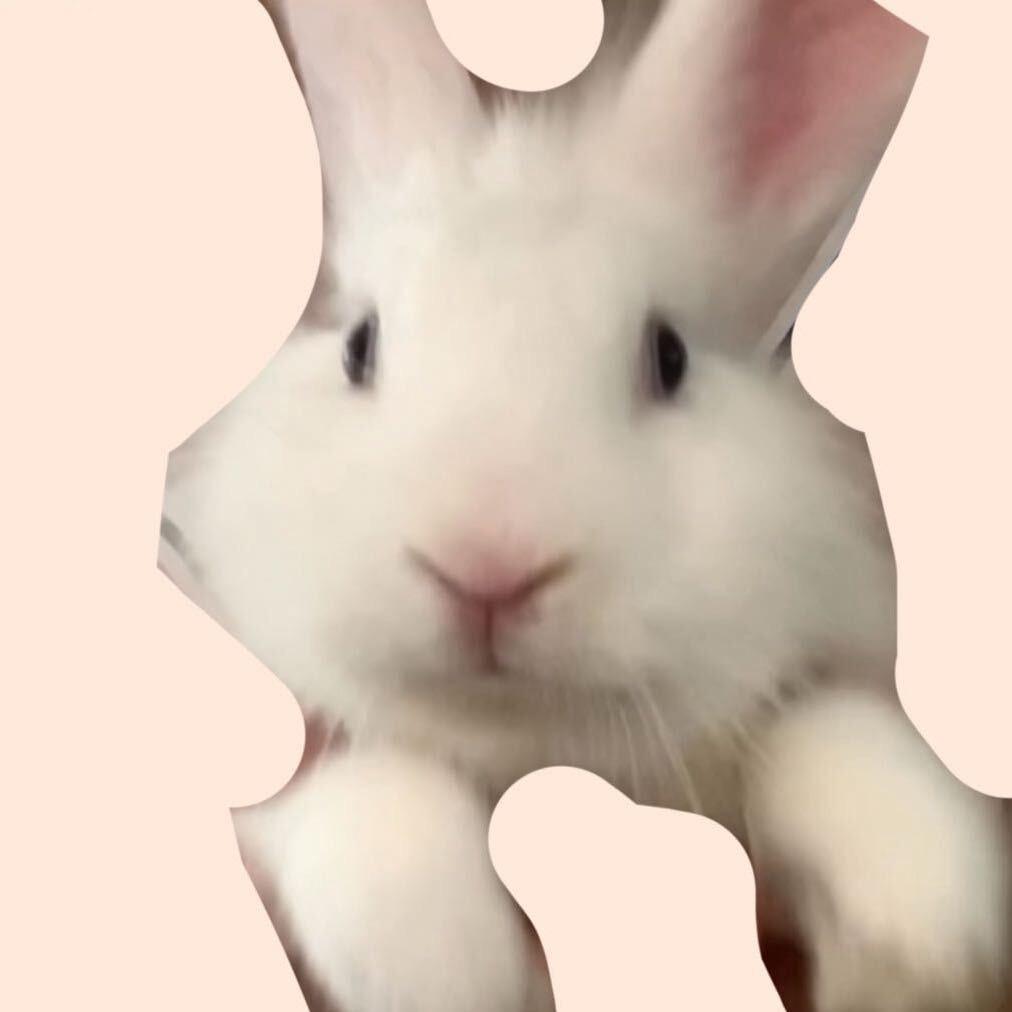 妞妞