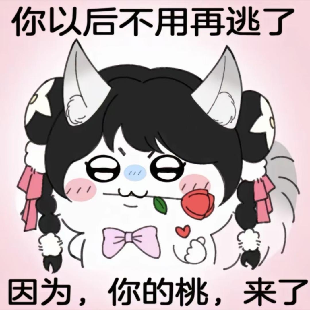 虎纠球球
