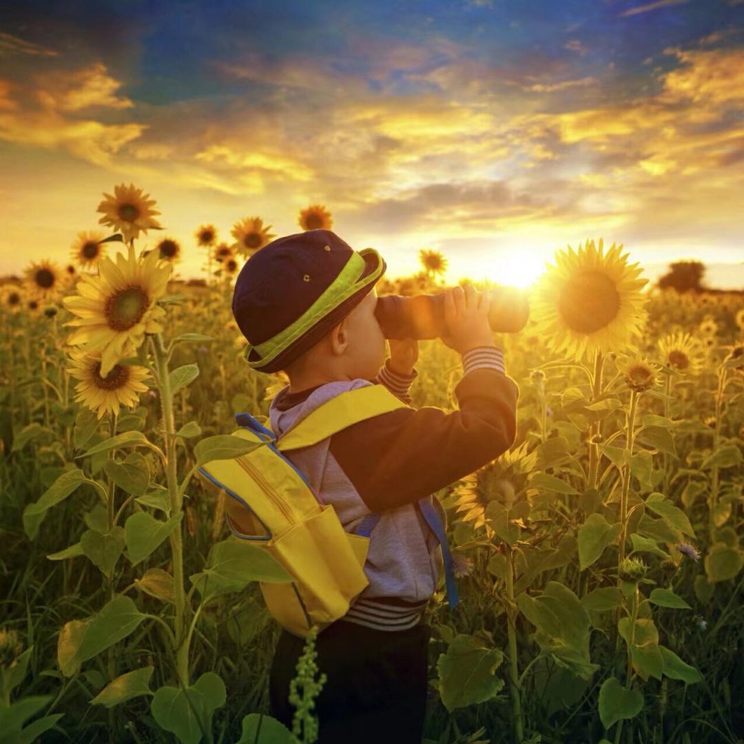 广润毛毡节日用品