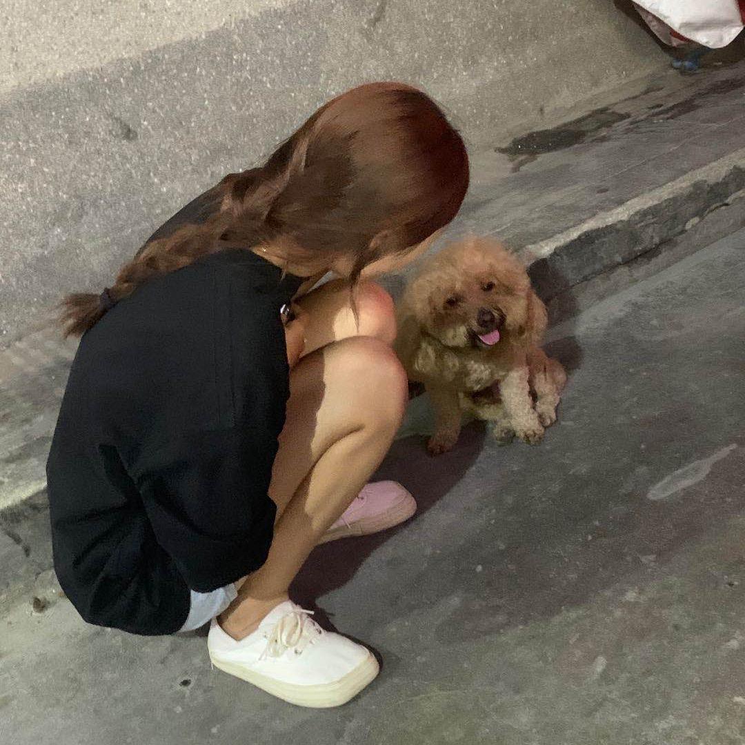 壹拾壹