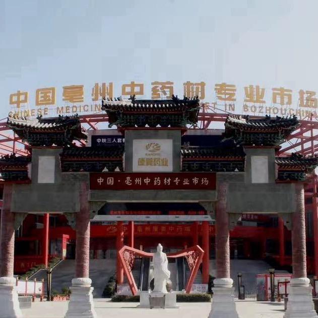 小琪亳州地产药材