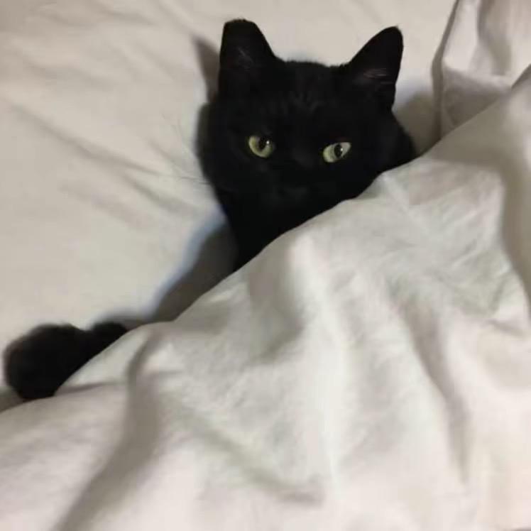 17^