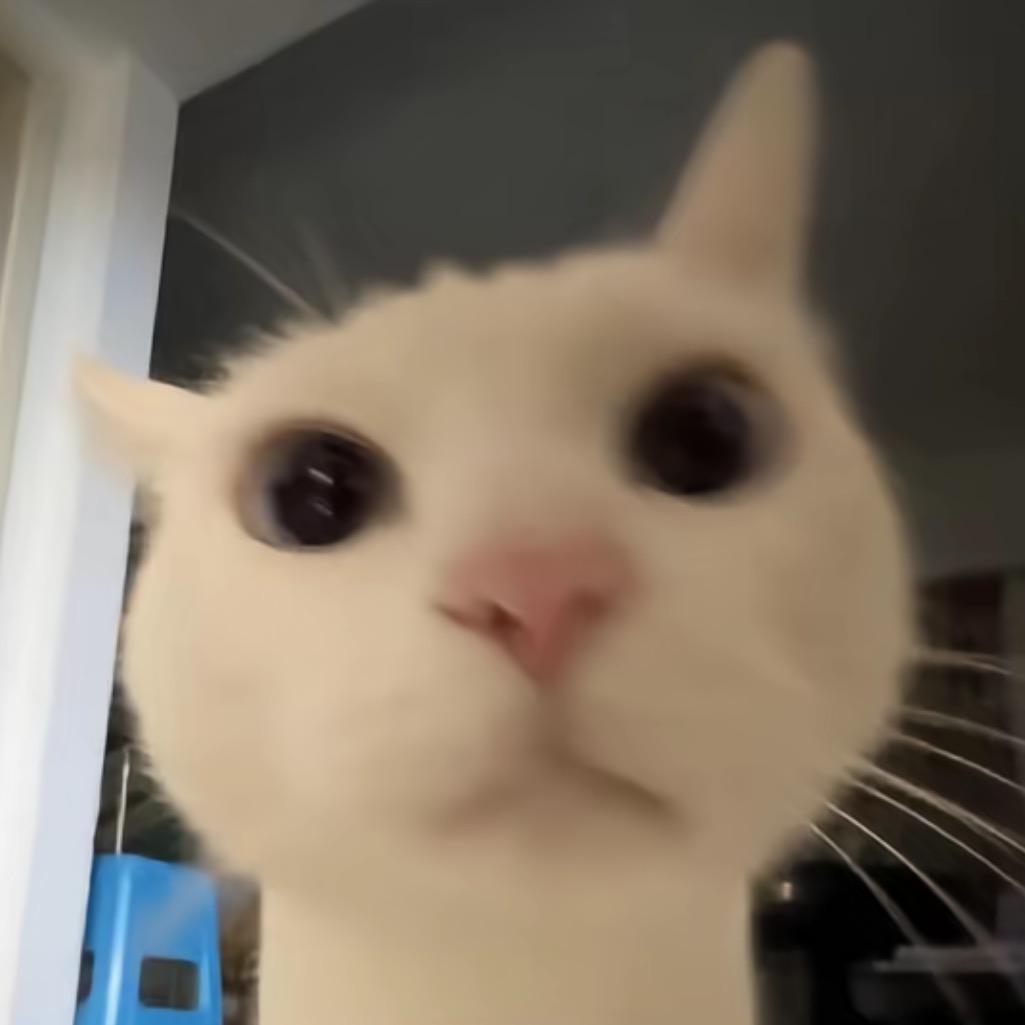 小主角