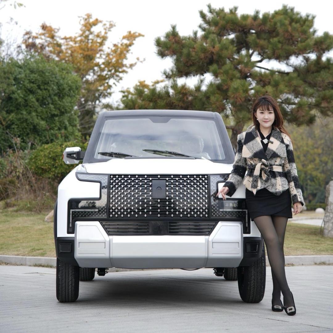 菲菲电动四轮车生产厂家