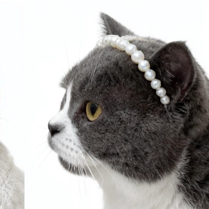 谁家的小可爱呢