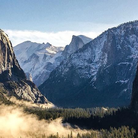 久娱-茹弧宠粉号