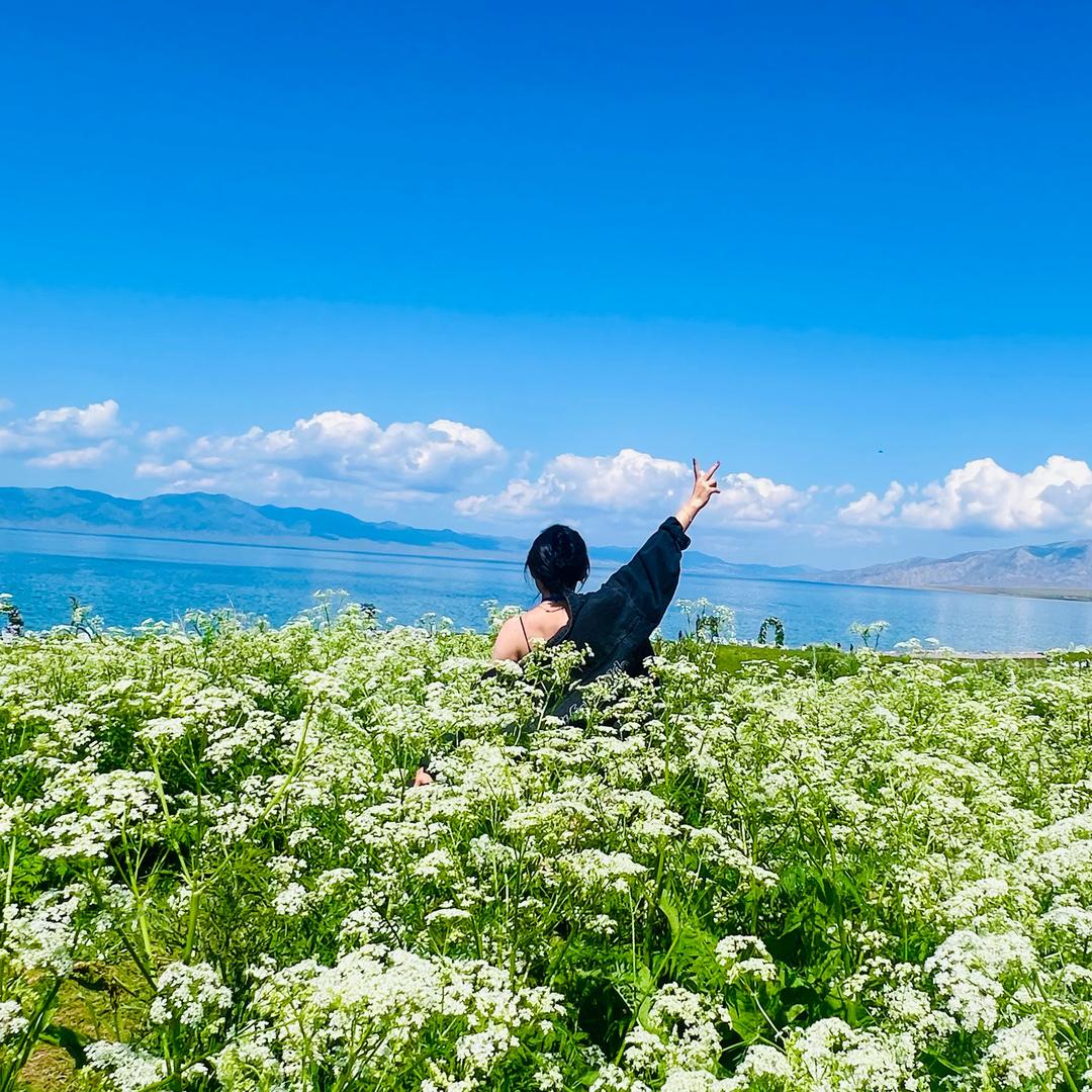 胖头鱼（向死而生版）🐟☀️