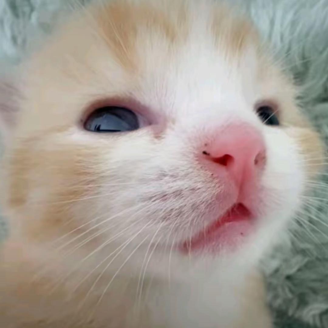 我想结束的是痛苦