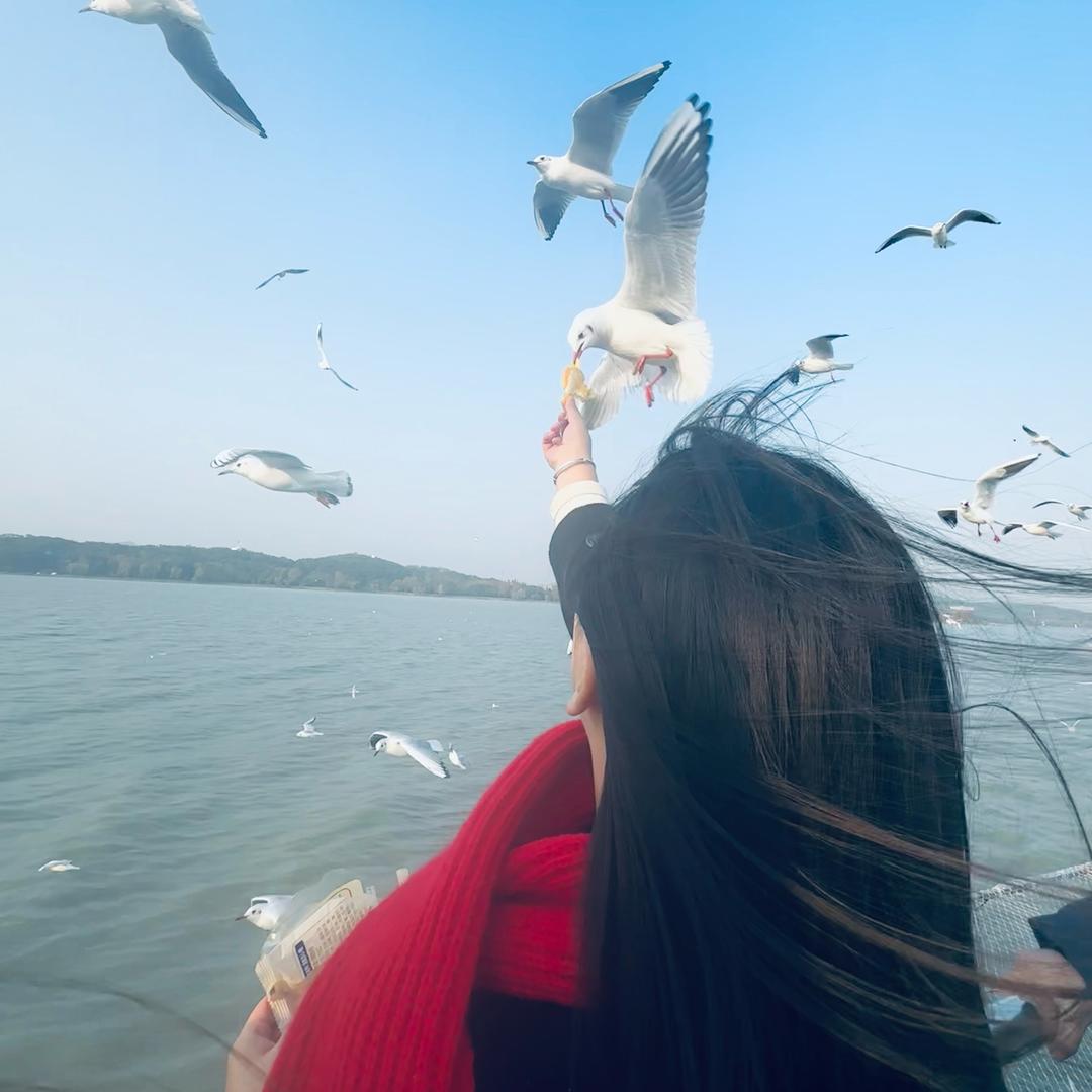 耳朵有点  龙女士