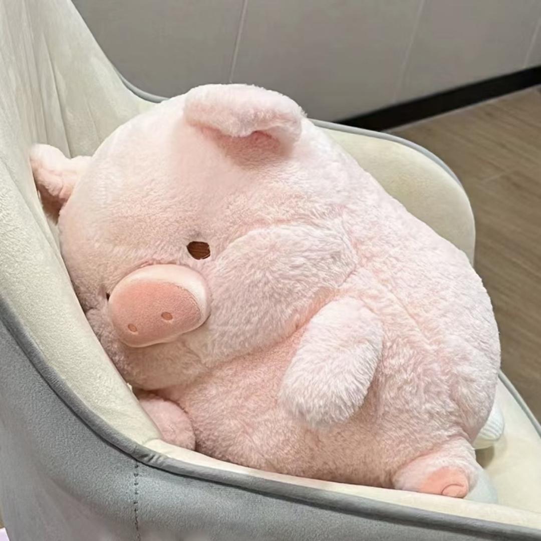 暴富养猪
