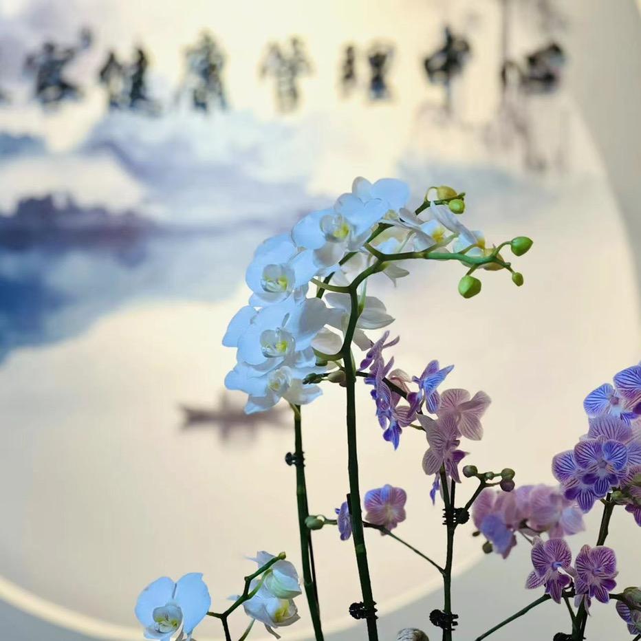 陆与子功效型养生品牌陆子本人