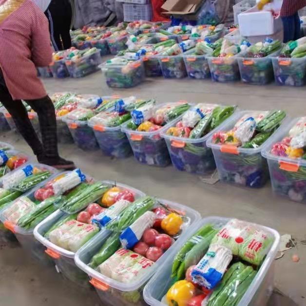 山东省寿光市王健蔬菜有限公司