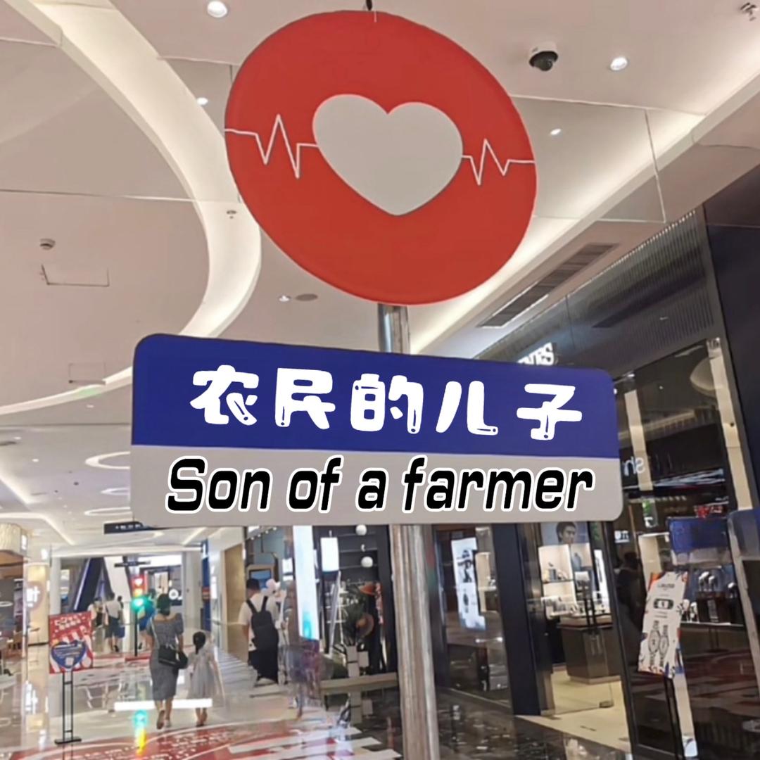 春禾农资—团队服务