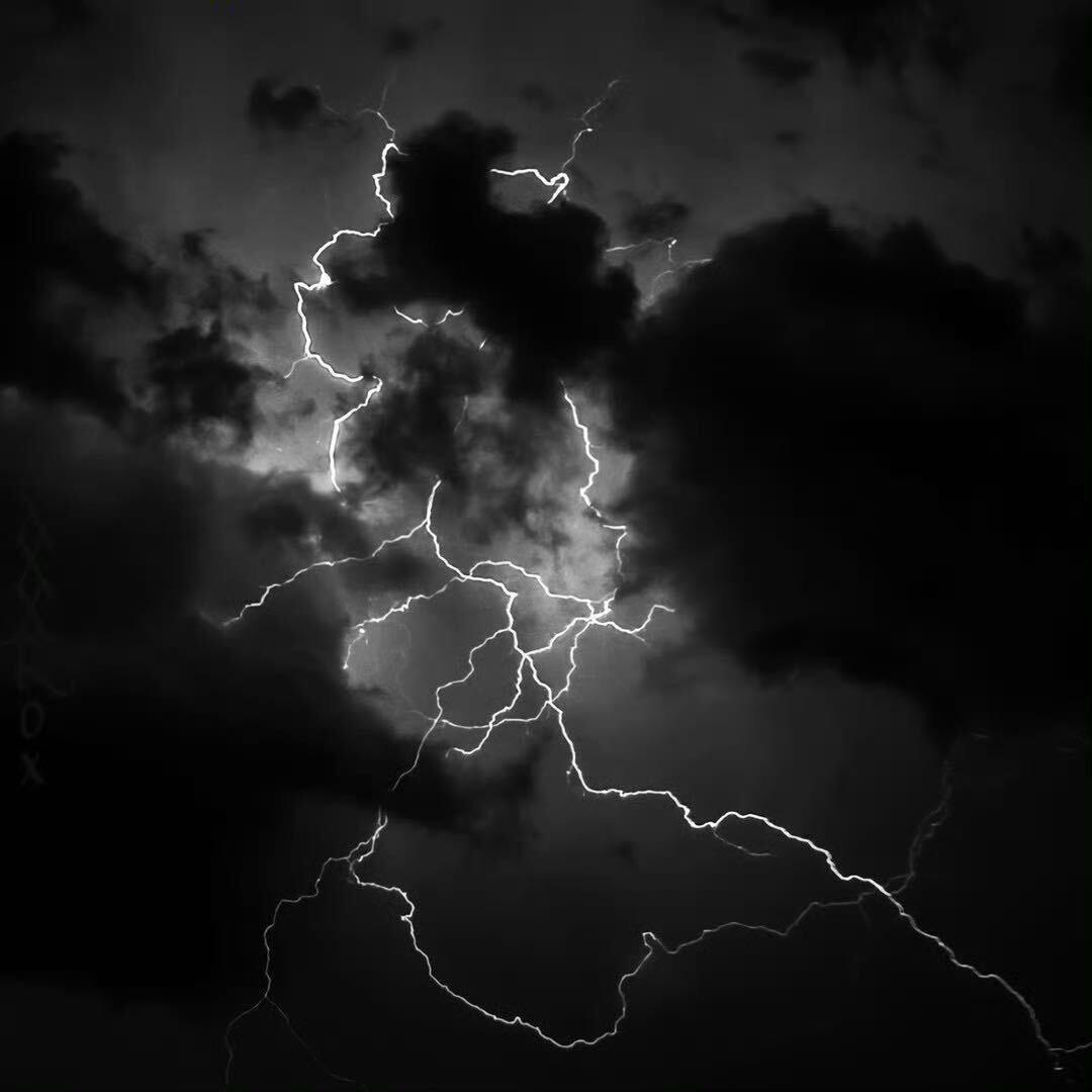 大娱乐家!  野哩