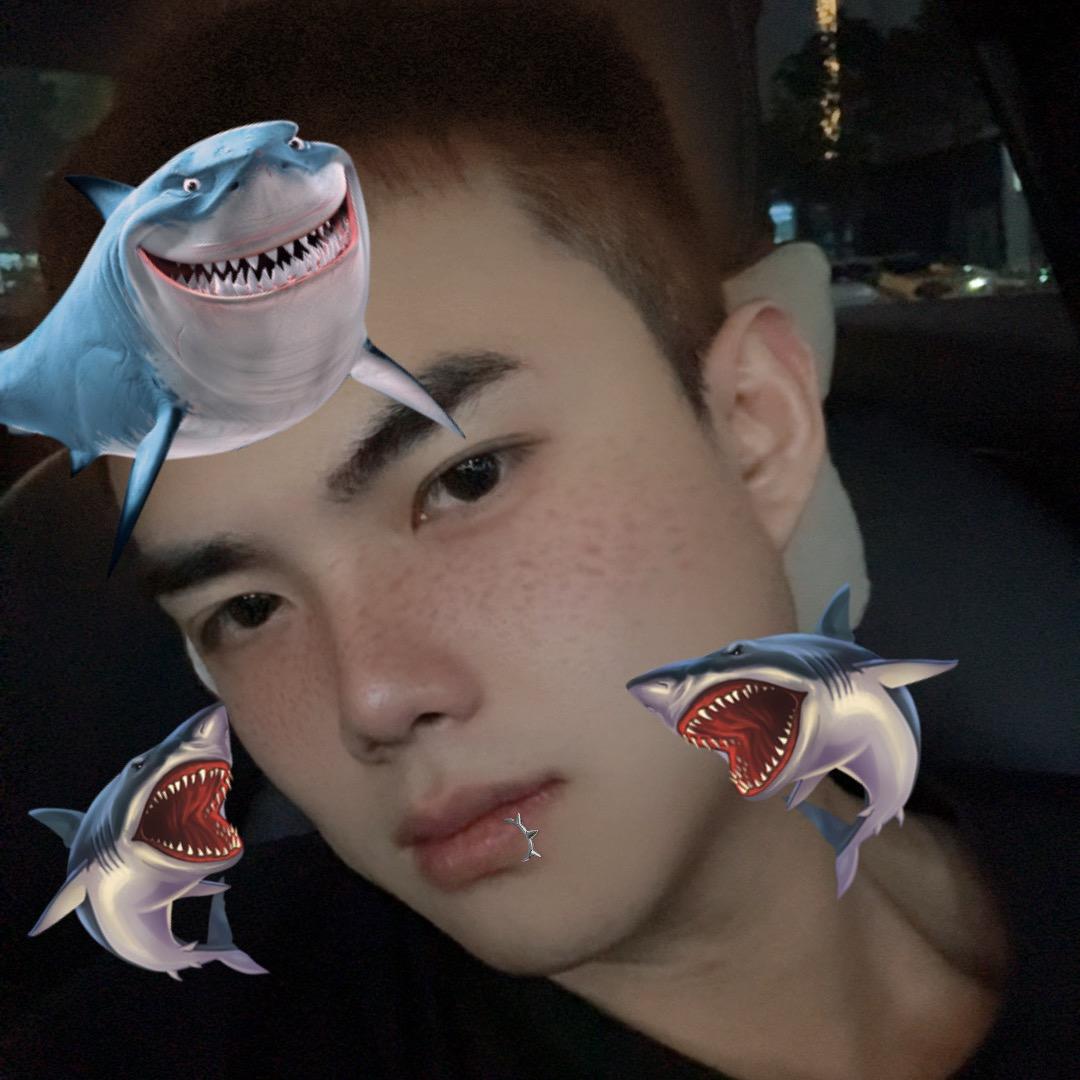 杨十六🎱