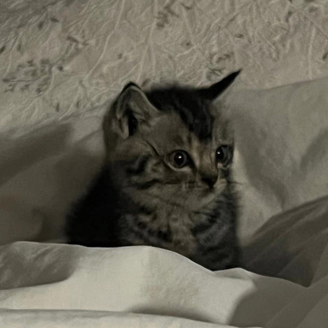 Yuki