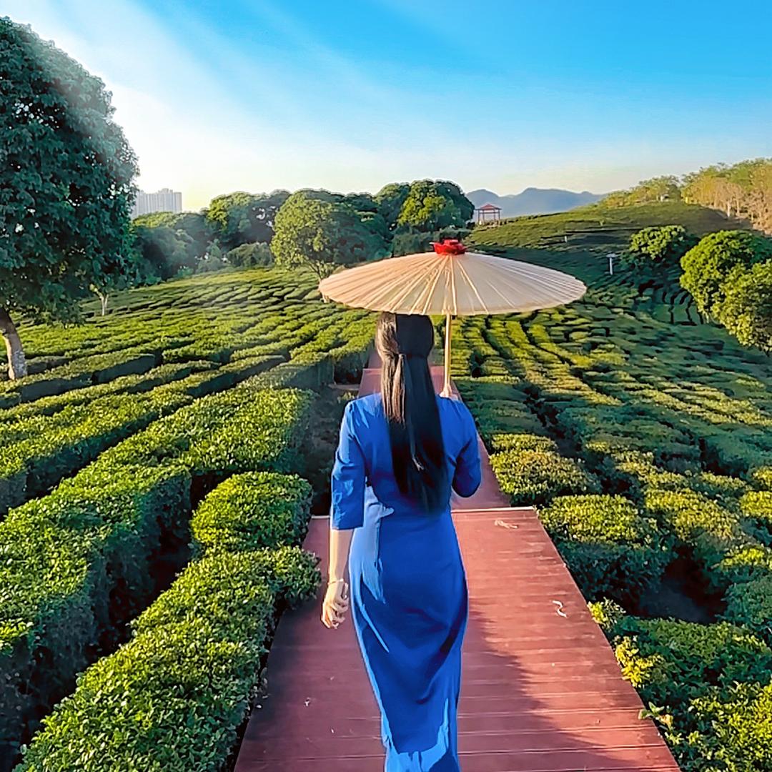 华祥苑茗茶（惠州市博罗县中洲店）