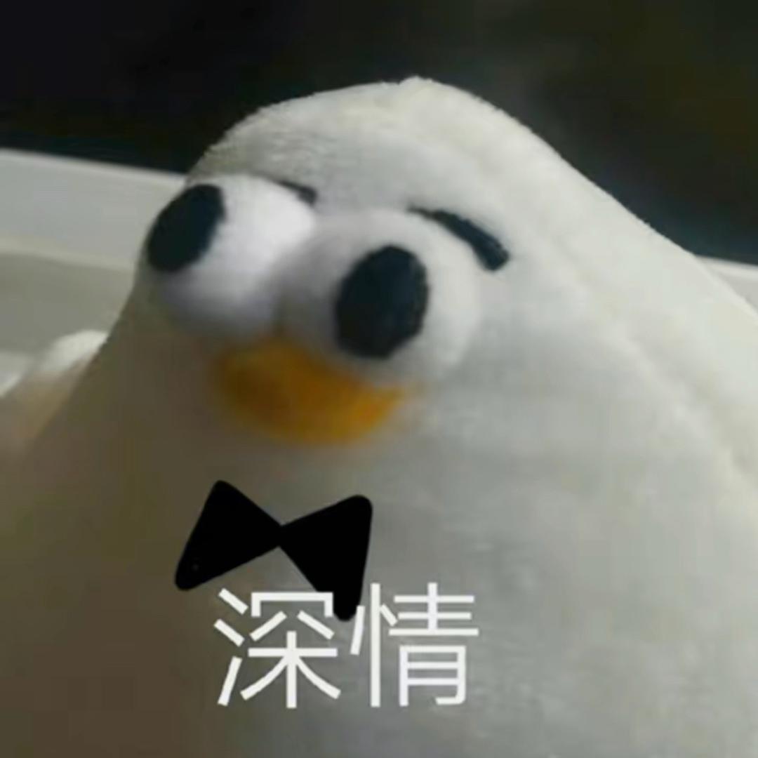 喜欢麦叔的毛豆豆