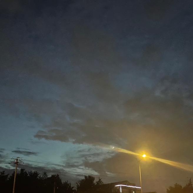 炫小龙虾🦞运动员  （见过赵汝亮版）