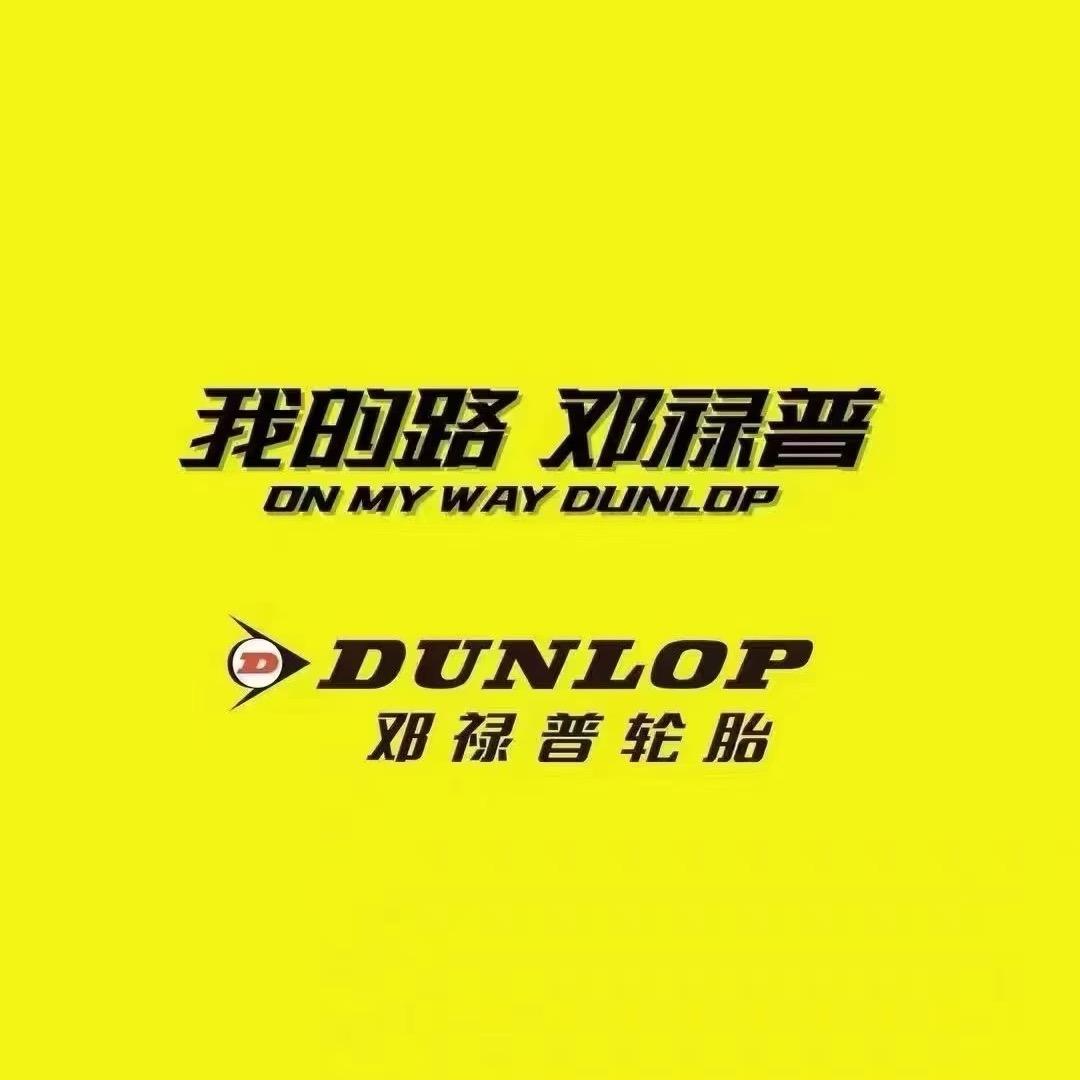 邓禄普轮胎 齐市合意路店