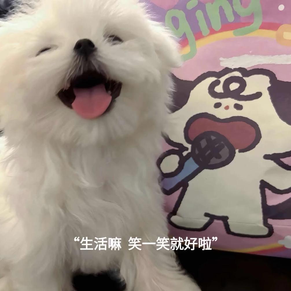 配角而已🍧