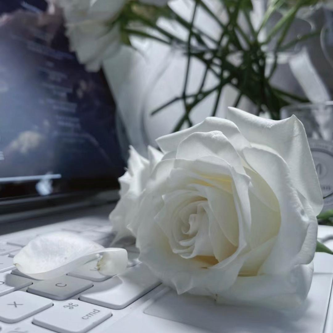芮安禾