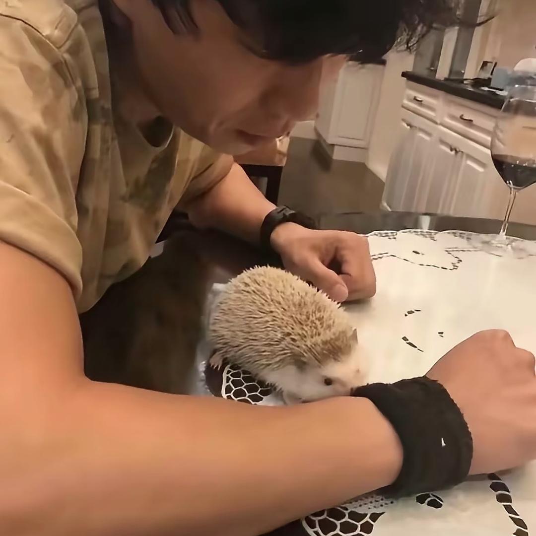 伍轶弎