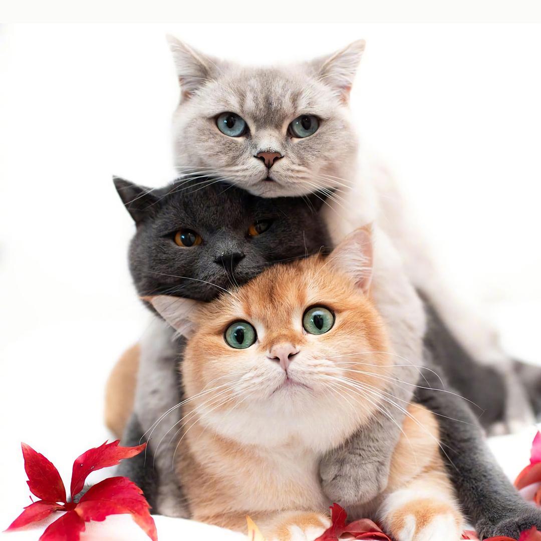 听见下雨的声音