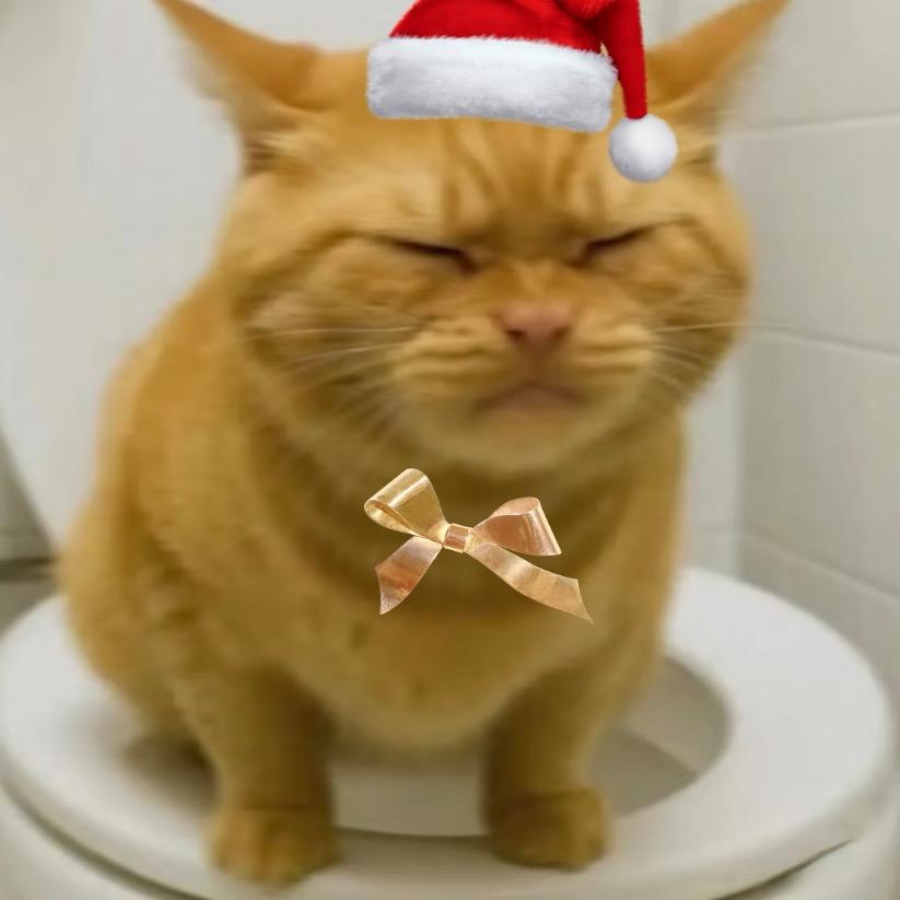 🦊