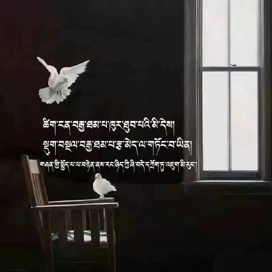喜孜图丹