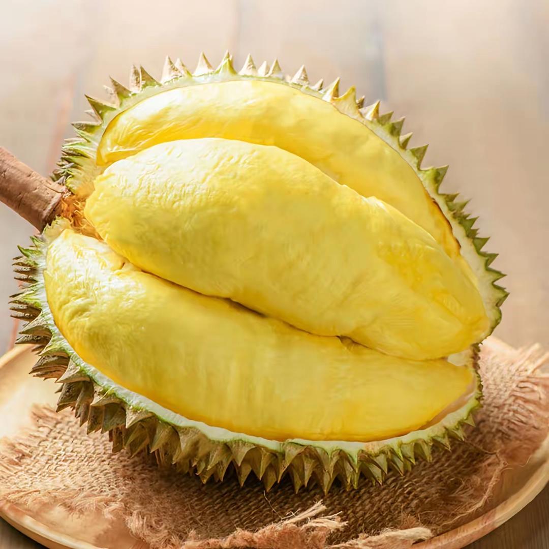 Ciko榴莲
