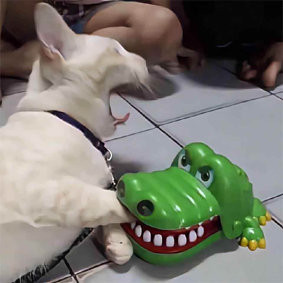 丸子ㅤ