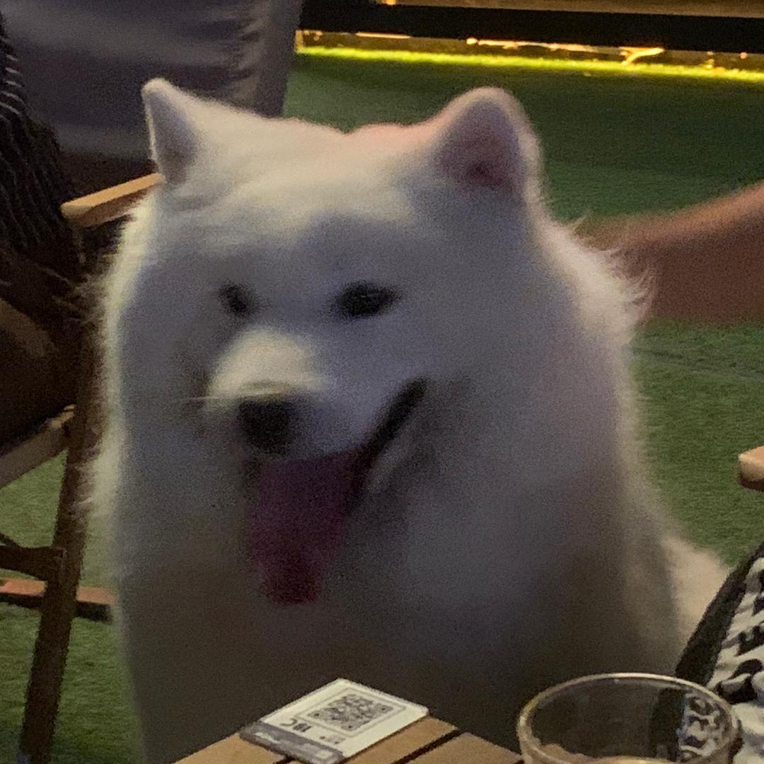 余新