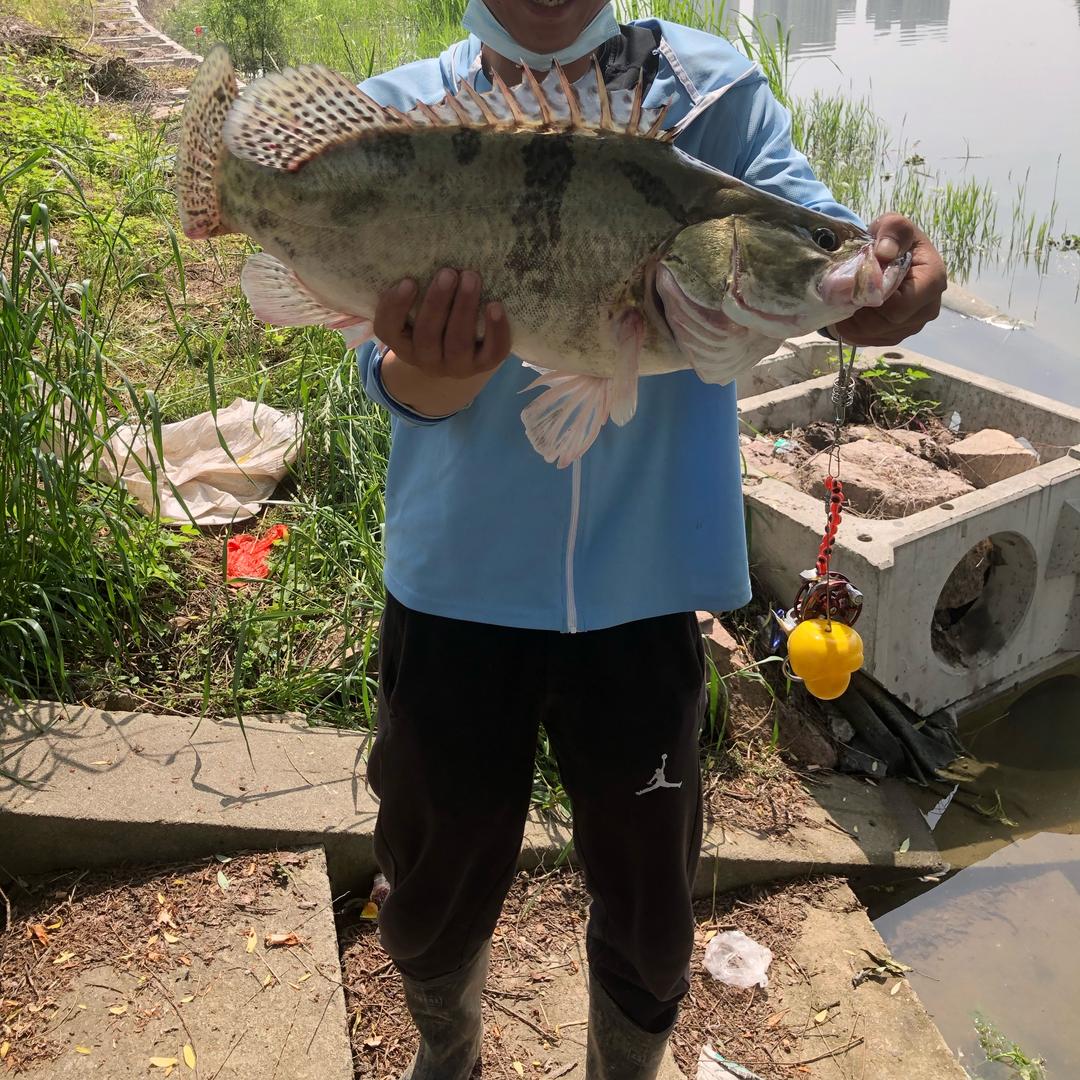 小菜鸡爱钓鱼～