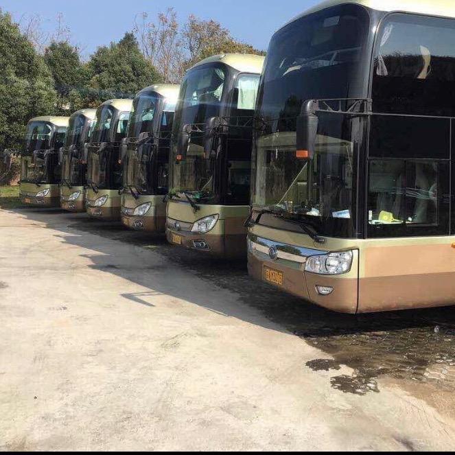 🇨🇳 唐伯虎点蚊香