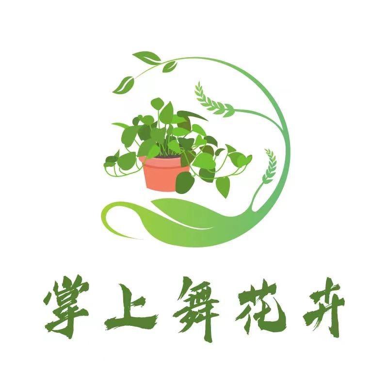 掌上舞花卉