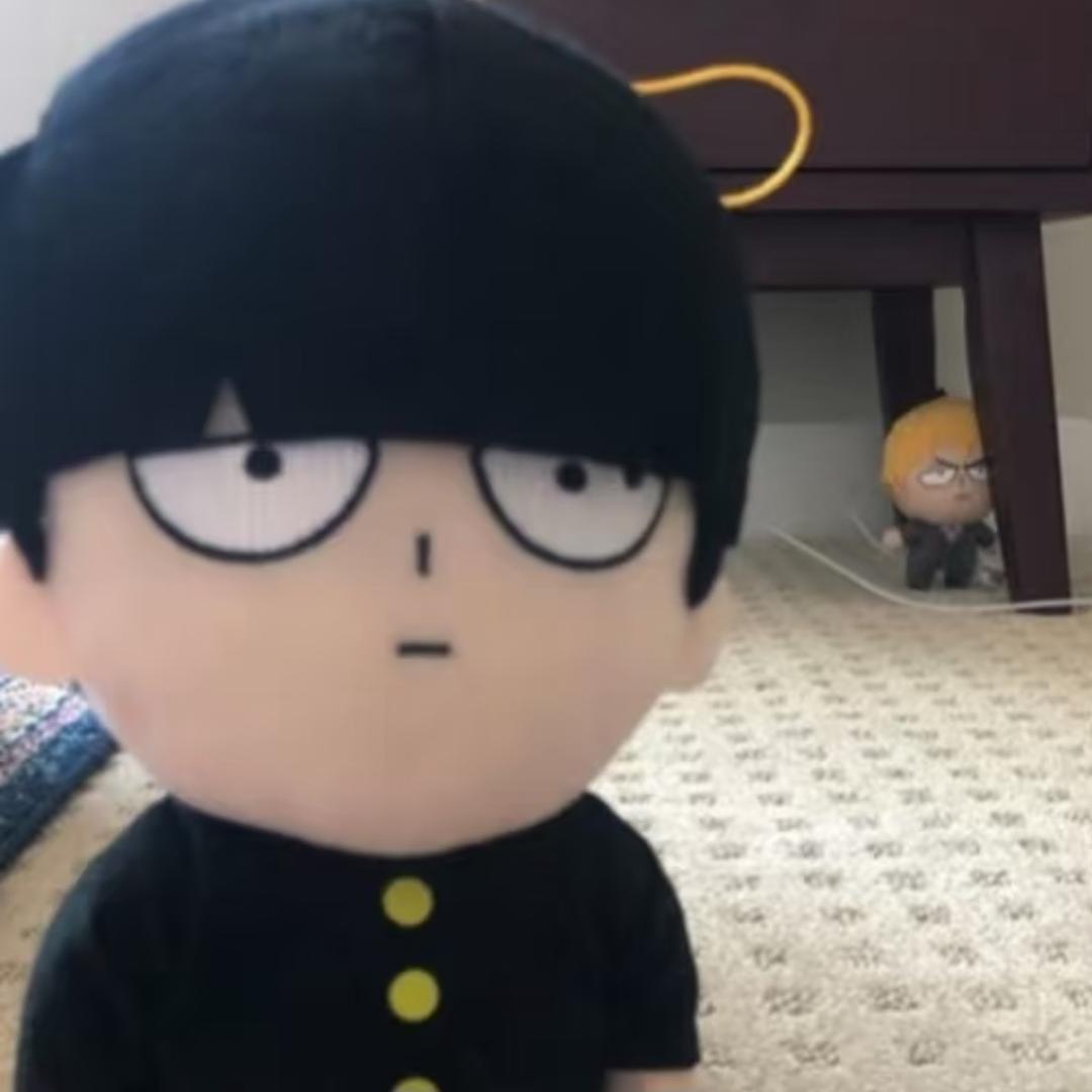 呆少