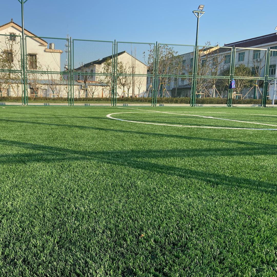 家住海边喜欢浪