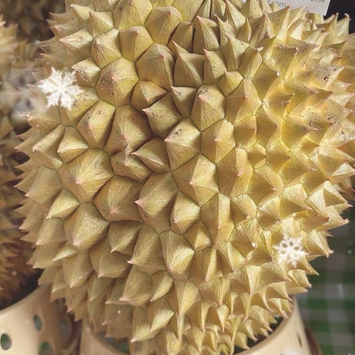 水果熟了岳麓一区