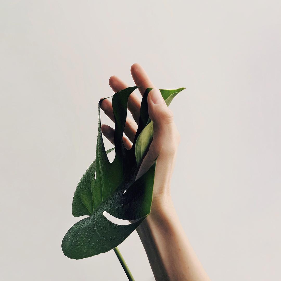 摩雅一品｜生态景观