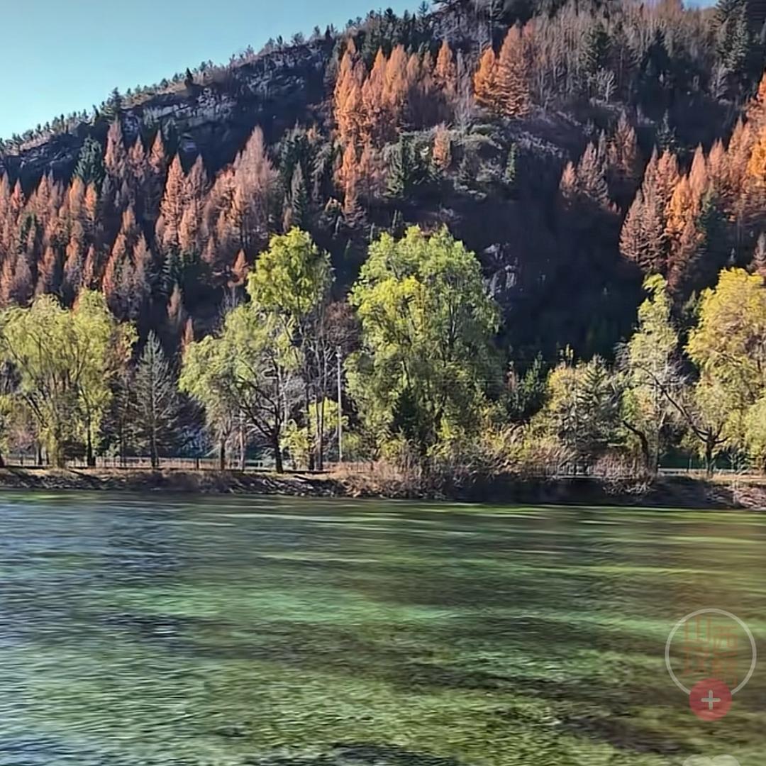 贺婷（帮朋友租铺租房买车买房找工作）