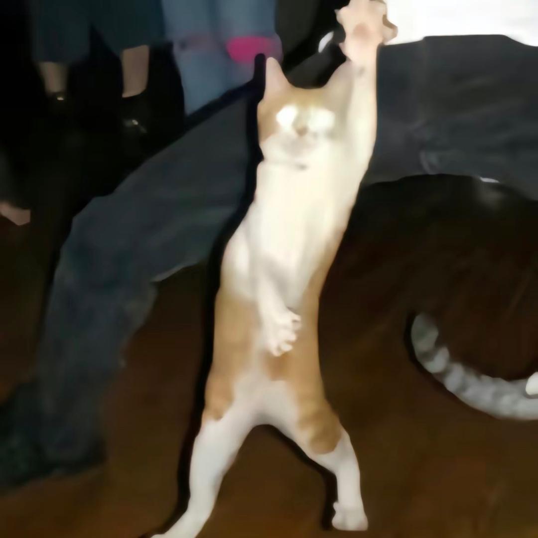 老八甜筒