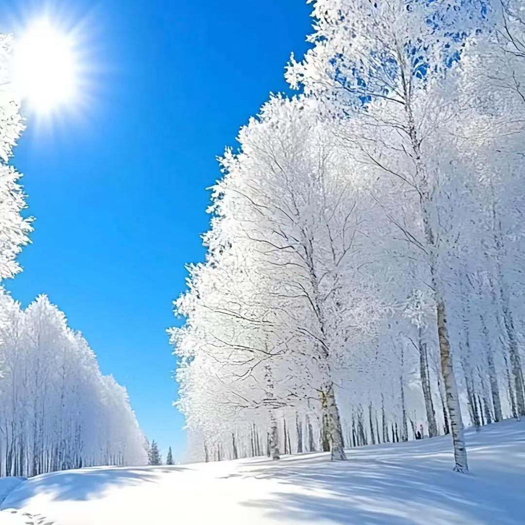 梦行解债孵化基地