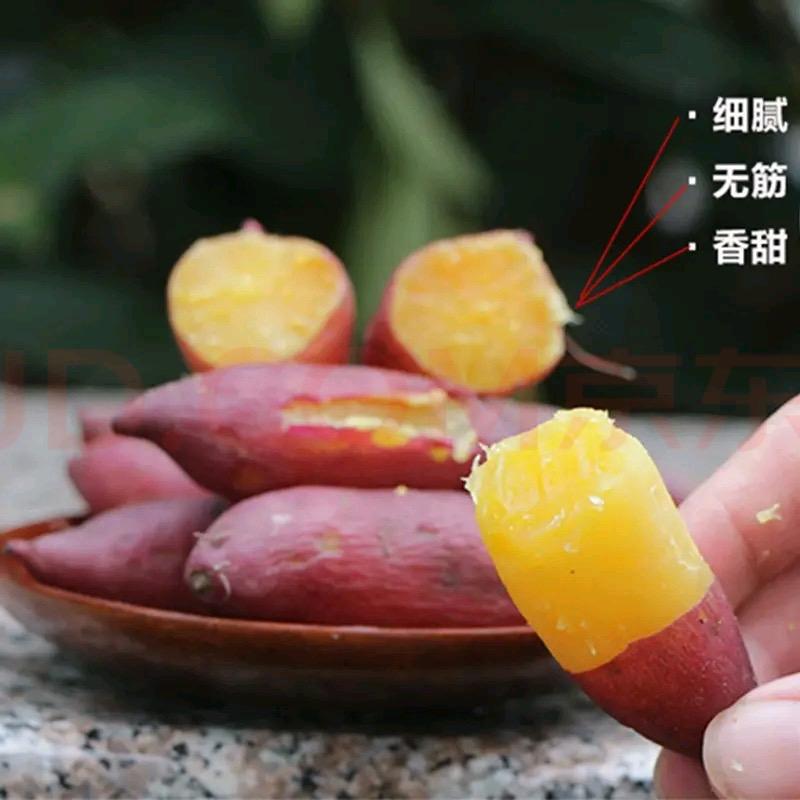 程老太农场小香薯