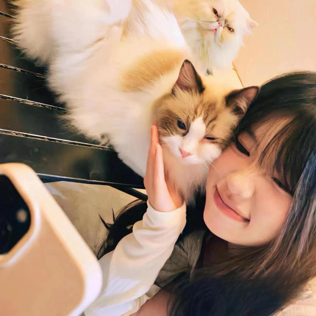 宁子.