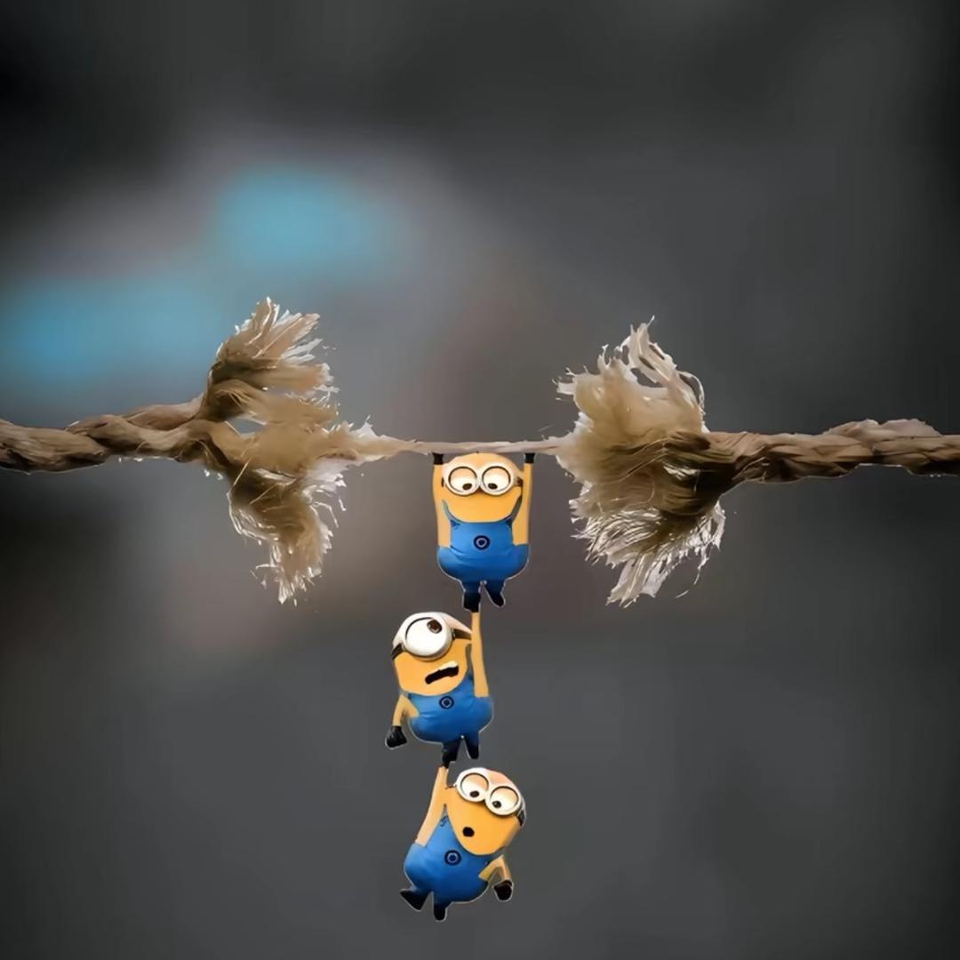 🐐¹¹.₂₀张℘࿐