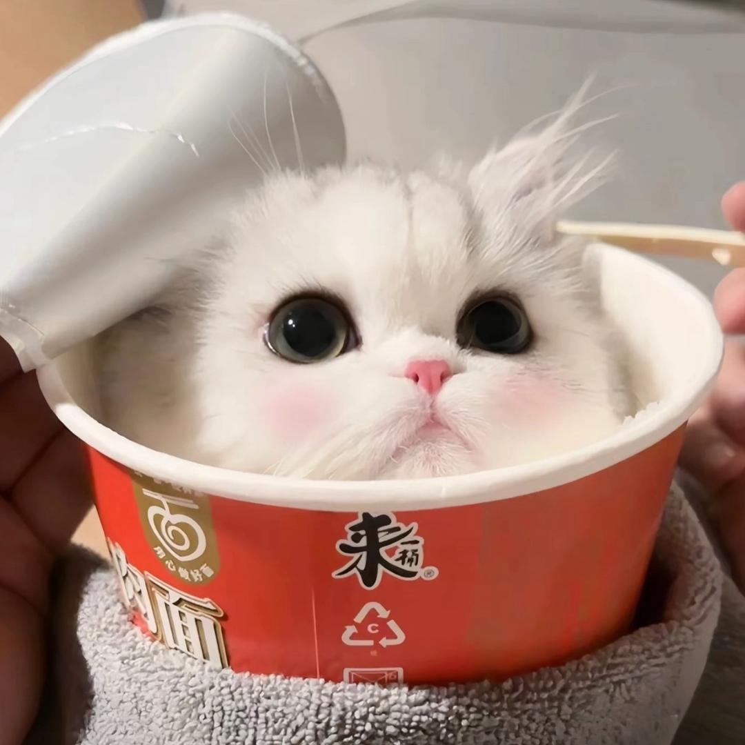 ￴￴￴ ￴ ￴￴ ￴ ￴